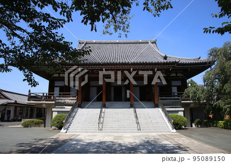 伝通院本堂 95089150