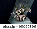 First spring flower snowdrop. Still life photography, template for postcards, greeting cards, Mother's Day, Valentine's Day, still life magazines, garden, etc. 95090396