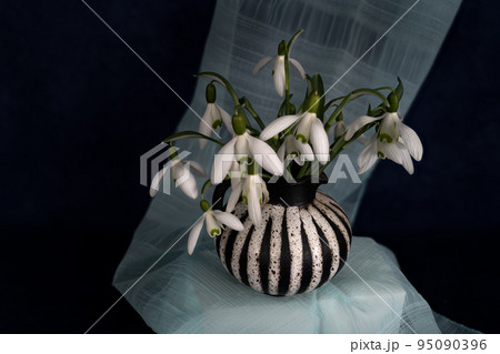 First spring flower snowdrop. Still life photography, template for postcards, greeting cards, Mother's Day, Valentine's Day, still life magazines, garden, etc. First spring flower snowdrop. Still life photography, template for postcards, greeting cards, Mother's Day, Valentine's Day, still life magazines, garden, etc. 95090396