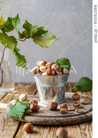 Hazelnuts in small bucket on wooden rustic cutting board, wooden table, hazelnut tree branch Hazelnuts in small bucket on wooden rustic cutting board, wooden table, hazelnut tree branch 95091066