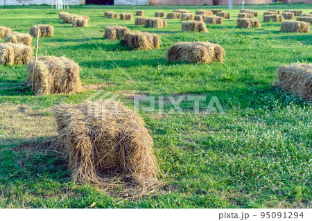 Seats and tables made from straw bales for event and party laid on lawn yard. Straws stubble decorated for sitting in the countryside. Furniture made of pallets and straw bales. Selective focus. Seats and tables made from straw bales for event and party laid on lawn yard. Straws stubble decorated for sitting in the countryside. Furniture made of pallets and straw bales. Selective focus. 95091294