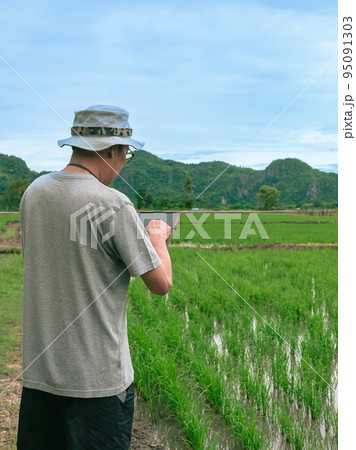 Asian male farmer using tablet for research leaves of rice in organic farm field. Agriculturist check the growing rice production in rice paddy field by using tablet. Agricultural technology Concept. 95091303