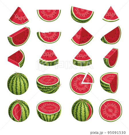 Watermelon. Healthy natural sliced fresh products in various pieces recent vector cartoon template Watermelon. Healthy natural sliced fresh products in various pieces recent vector cartoon template 95091530