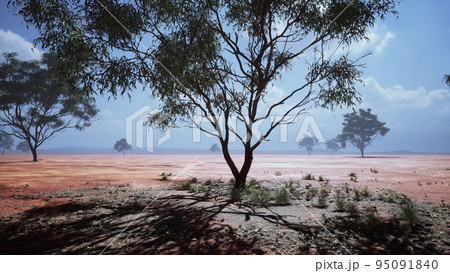 African savanna landscape with acacia trees African savanna landscape with acacia trees 95091840