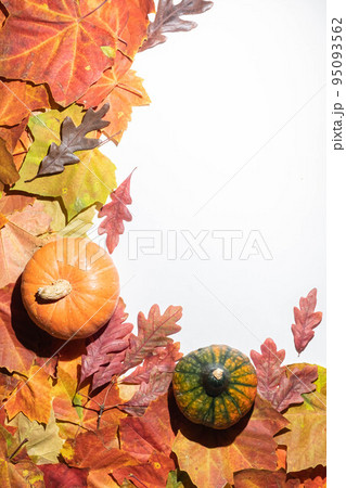 Autumn frame - orange pumpkins with fall leaves. Top view, copy space 95093562