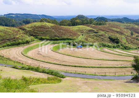 《熊本県》稲刈り後の扇棚田　産山村 95094523