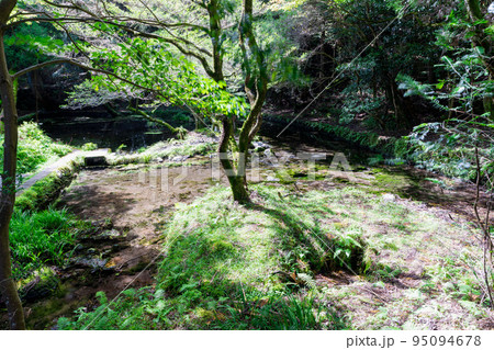 《熊本県》山吹水源・山吹水源遊歩道　産山村 95094678