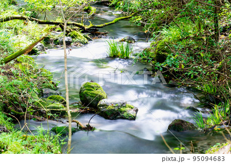 《熊本県》山吹水源・山吹水源遊歩道　産山村 95094683