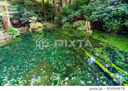 《熊本県》池山水源　産山村 95094878