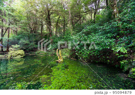 《熊本県》池山水源　産山村 95094879