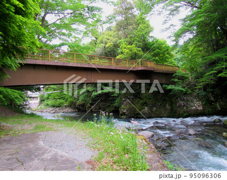 伊豆天城 湯ヶ島温泉の出会い橋 95096306