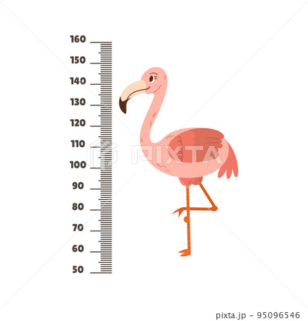 Kids Height Meter With Funny Cartoon Flamingo And Centimeter Scale. Growth Chart For Children Height Measurement 95096546