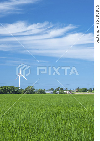 風車のある風景 (鳥取県北栄町) 風車のある風景 (鳥取県北栄町) 95096906
