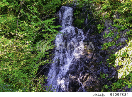 東京都　檜原都民の森　三頭大滝 (みとうおおたき） 95097384