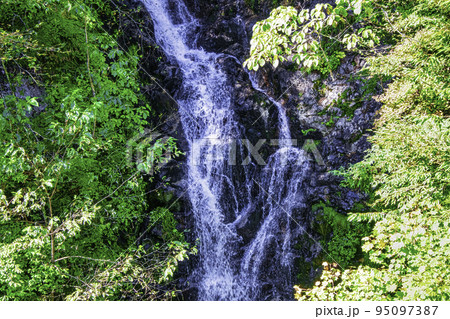 東京都　檜原都民の森　三頭大滝 (みとうおおたき） 95097387