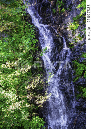 東京都　檜原都民の森　三頭大滝 (みとうおおたき） 95097388