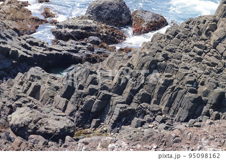 俵磯　爪木崎　下田　南伊豆　伊豆半島ジオパーク　柱状節理 95098162