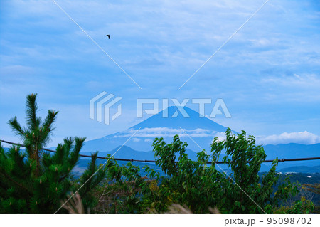 湘南平からの風景 湘南平からの風景 95098702