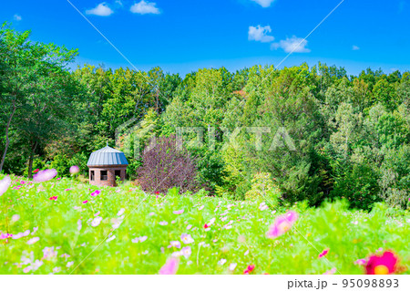 滝野すずらん公園の風景 滝野すずらん公園の風景 95098893