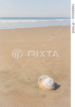 落石海岸三里浜 落石海岸三里浜 95098961