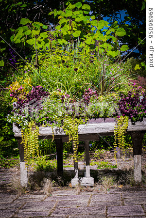 滝野すずらん公園の風景 滝野すずらん公園の風景 95098969