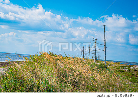 野付半島の風景 95099297