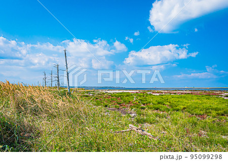 野付半島の風景 95099298