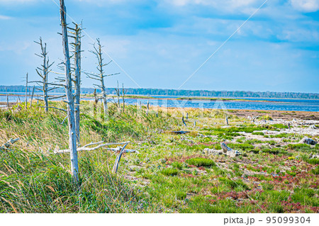 野付半島の風景 95099304
