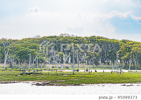 野付半島の風景 95099373