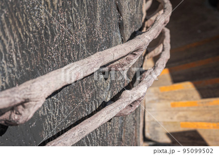 滝野すずらん公園の風景 滝野すずらん公園の風景 95099502
