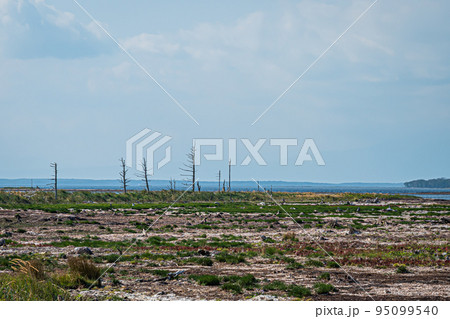 野付半島の風景 95099540