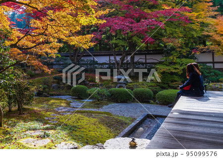 京都東山の秋　紅葉の泉涌寺　御座所庭園 95099576