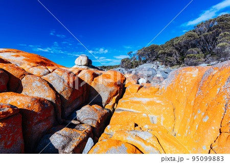Skeleton Bay Walk in Tasmania Australia 95099883
