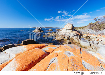 Skeleton Bay Walk in Tasmania Australia 95099884