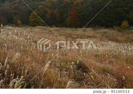 秋の砥峰高原 95100533