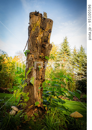 北海道の秋のガーデン 95100596