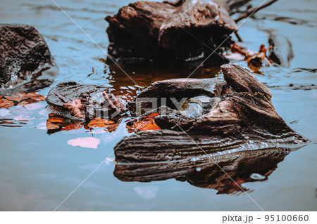 オンネトーの風景 95100660