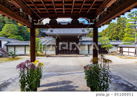 京都東山の秋　紅葉の泉涌寺　御車寄せと勅使門 95100951