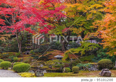 京都東山の秋　紅葉の泉涌寺　御座所庭園 95101200