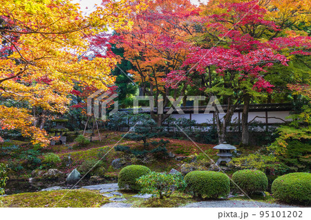 京都東山の秋 紅葉の泉涌寺 御座所庭園 京都東山の秋 紅葉の泉涌寺 御座所庭園 95101202