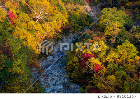 大雪山系の紅葉 大雪山系の紅葉 95101257