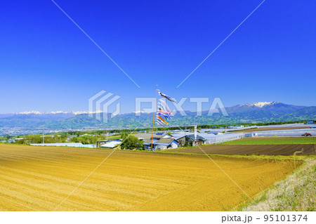 田園風景と鯉のぼり 95101374