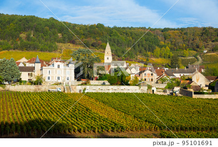 Panoramic view of Saint-Aubin village 95101691