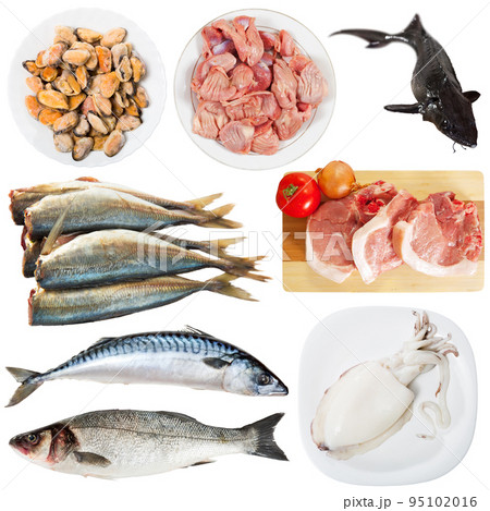 Raw meat, poultry fish isolated on white background, nobody 95102016
