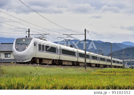 実りの田んぼを行く特急電車(サンダーバード、しらさぎ)③ 95102352