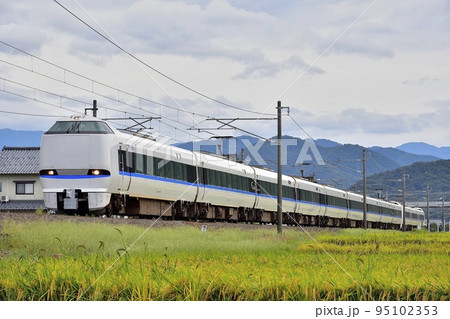 実りの田んぼを行く特急電車(サンダーバード、しらさぎ)④ 95102353