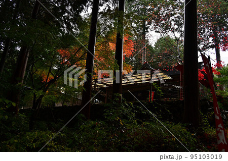 首切地蔵尊の紅葉 95103019