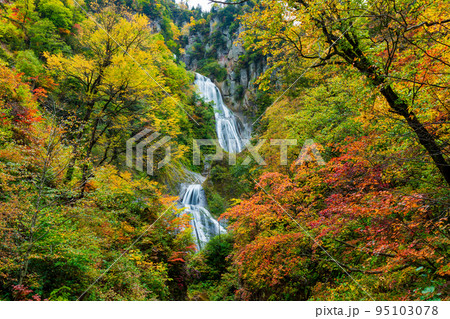 紅葉の羽衣の滝　北海道 95103078