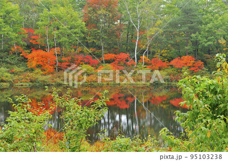 志賀高原　一沼 95103238