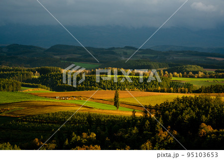 北海道　秋夕暮れの就実の丘 95103653
